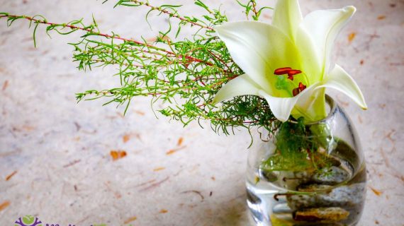 Rangkaian Bunga di Meja Tamu Menambahkan Sentuhan Elegan dan Kehangatan ke Ruangan Anda