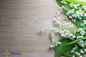 Buket Bunga Asli Terdekat Pilihan Tepat untuk Momen Spesial