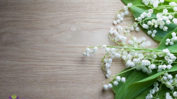 Buket Bunga Asli Terdekat Pilihan Tepat untuk Momen Spesial