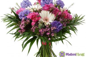 Buket Bunga Daisy Simbol Keceriaan dalam Setiap Momen Spesial