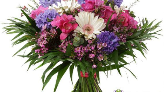 Buket Bunga Daisy Simbol Keceriaan dalam Setiap Momen Spesial