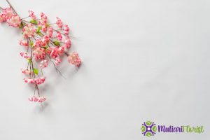 Buket Bunga Kecil Pilihan Sempurna untuk Berbagai Momen Spesial