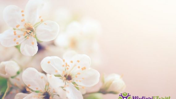 Buket Bunga Simple Keindahan dalam Kesederhanaan