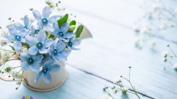 Buket Bunga Warna Biru Simbol Keanggunan dan Keunikan dalam Sebuah Rangkaian