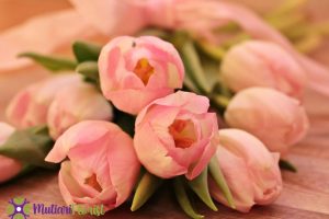Buket Bunga dari Pita Satin Sentuhan Elegan untuk Berbagai Kesempatan