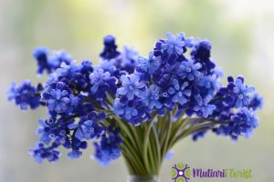 Cara Membuat Buket Bunga yang Cantik dan Menawan
