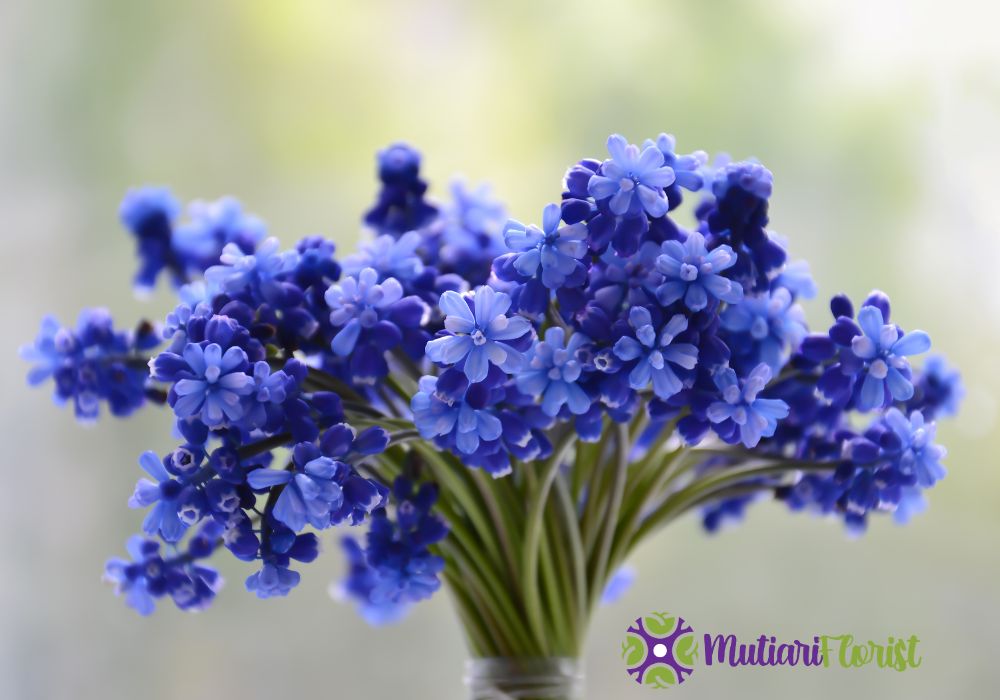Cara Membuat Buket Bunga yang Cantik dan Menawan