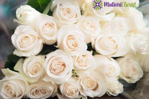 Bunga Tulip Simbol Keindahan yang Elegan dan Bermakna