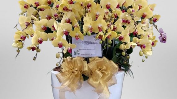 Toko Bunga Jakarta Utara Tempat Terbaik untuk Memilih Buket Bunga Berkualitas